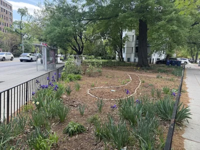 park facing south april 2026