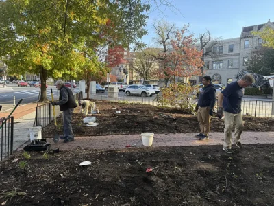 Volunteers planting