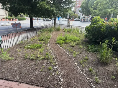 North section of the park
